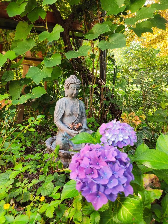 Modernes Zimmer Am Park Mit Garten, Huehner & Enten München Buitenkant foto